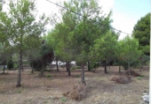 Terreno no urbanizable en venta en la España, Jávea, ref: TR112708 foto