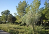 Terreno no urbanizable en venta en la España, Jávea, ref: TR112708 foto