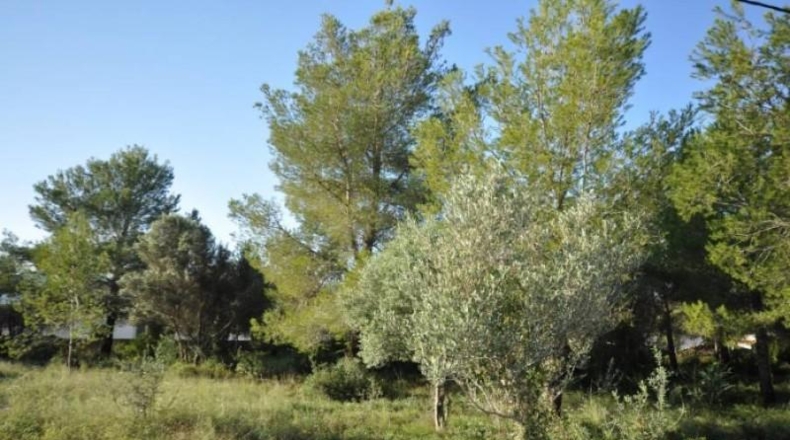 Alicante - Jávea - 3075m2