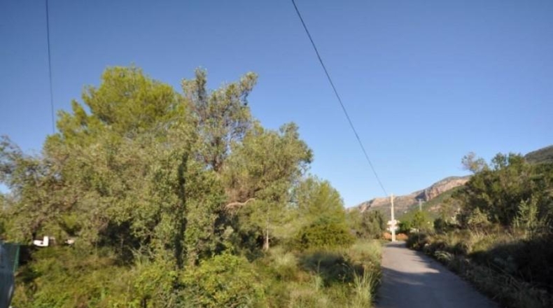 Alicante - Jávea - 3075m2