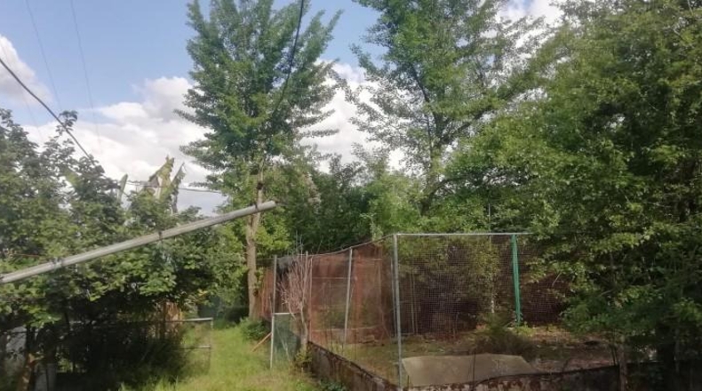Pontevedra - Puenteareas - 2008m2