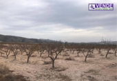 Xalet independent amb terreny en venda a la España, Saix, ref.: TR134003 foto
