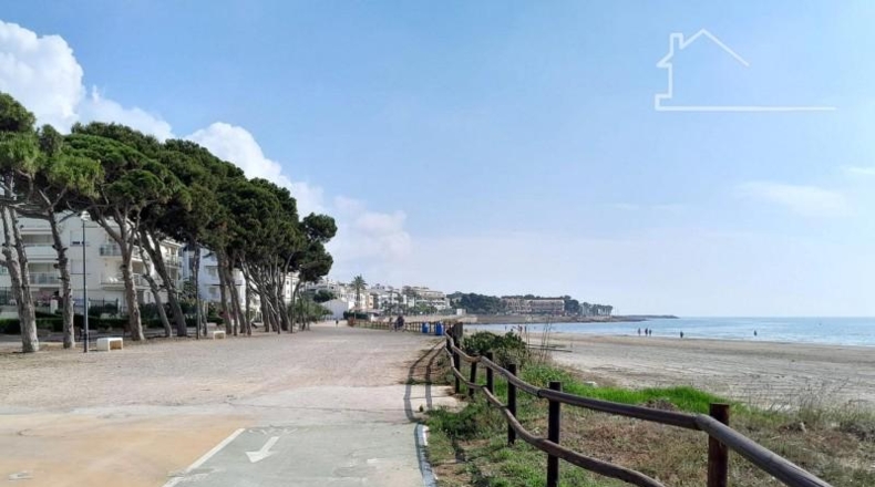 Castellón - Алькала де Чиверт - 6921m2