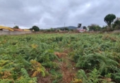 Parcel·la urbanitzable en venda a la España, Tacoronte, ref.: TR116571 foto