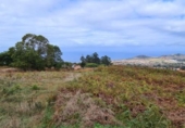 Parcel·la urbanitzable en venda a la España, Tacoronte, ref.: TR116571 foto