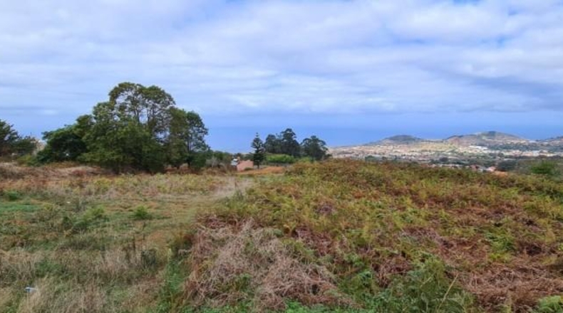 Santa Cruz de Tenerife - Tacoronte - 8533m2
