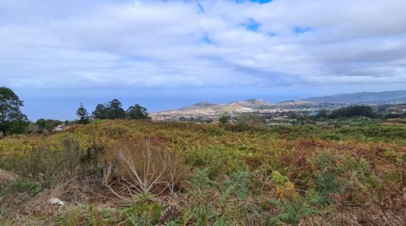 Santa Cruz de Tenerife - Tacoronte - 8533m2