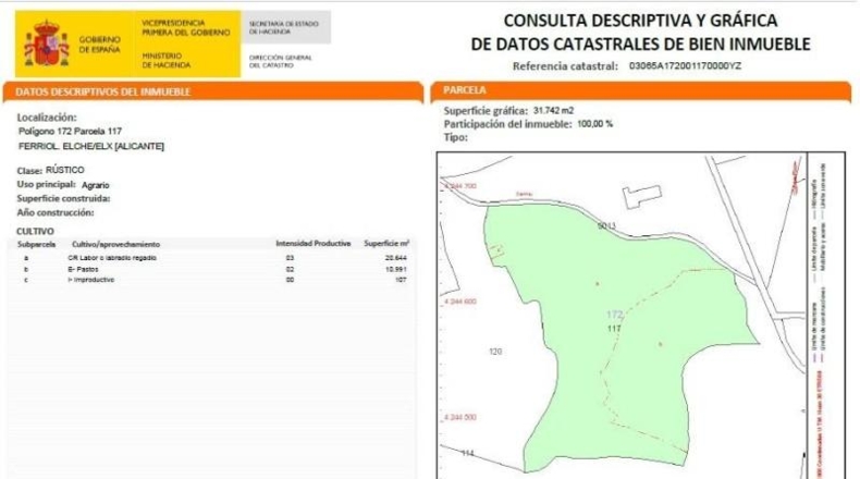 Alicante - Elche - 55000m2