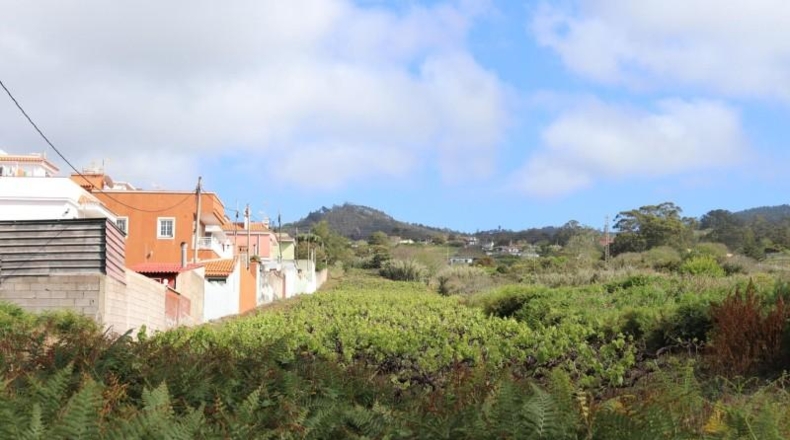Santa Cruz de Tenerife - Tacoronte - 17229m2
