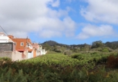 Terreny no urbanitzable en venda a la España, Tacoronte, ref.: TR308399 foto