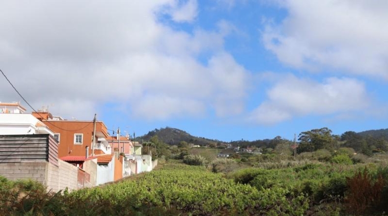 Santa Cruz de Tenerife - Tacoronte - 17229m2