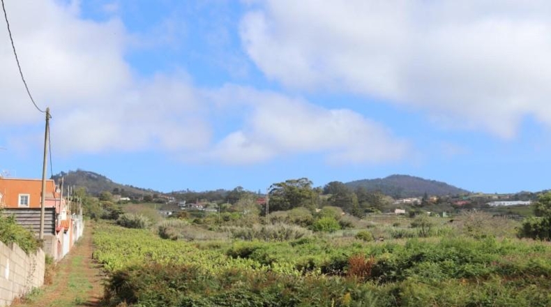 Santa Cruz de Tenerife - Tacoronte - 17229m2