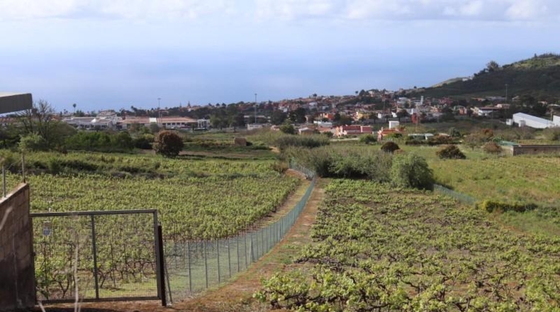 Santa Cruz de Tenerife - Tacoronte - 17229m2