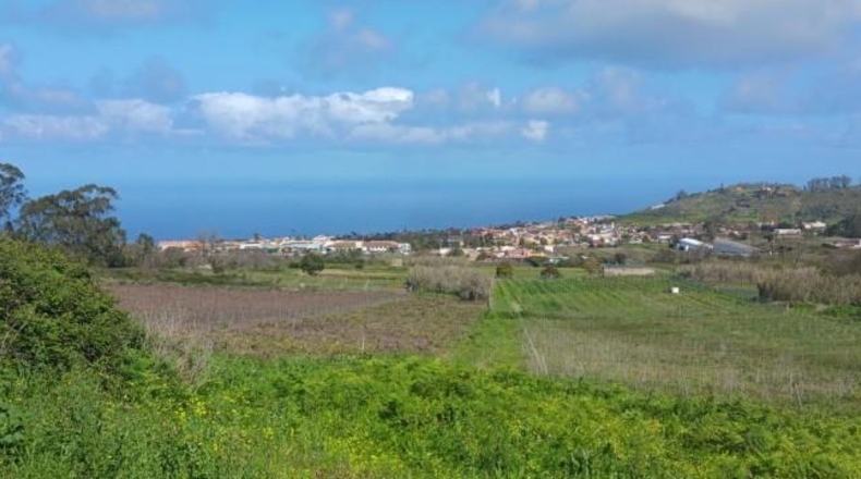 Santa Cruz de Tenerife - Tacoronte - 17229m2