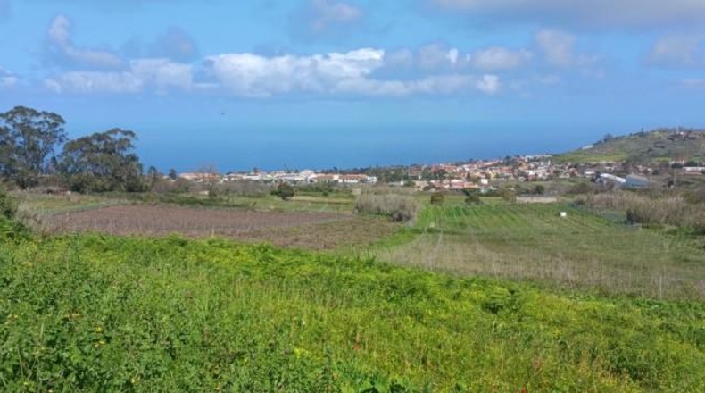 Santa Cruz de Tenerife - Tacoronte - 17229m2