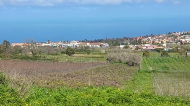 Santa Cruz de Tenerife - Tacoronte - 17229m2