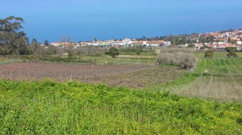Santa Cruz de Tenerife - Tacoronte - 17229m2