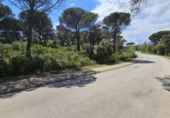 Non-developable land for sale on España, Santa Cristina d'Aro, ref: TR314688 photo