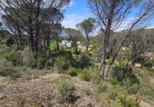 Non-developable land for sale on España, Santa Cristina d'Aro, ref: TR314688 photo