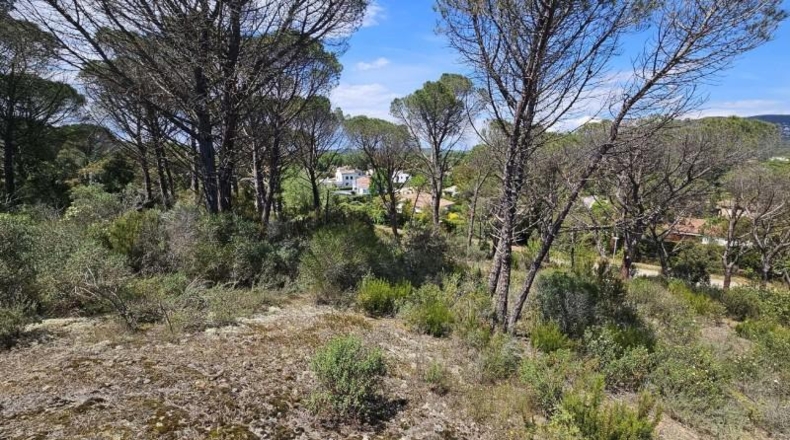 Gerona - Santa Cristina d'Aro - 3500m2
