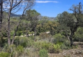 Non-developable land for sale on España, Santa Cristina d'Aro, ref: TR314688 photo