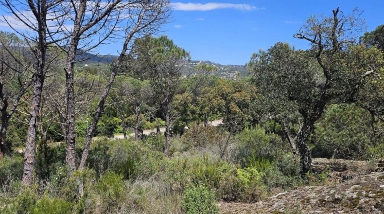 Gerona - Santa Cristina d'Aro - 3500m2