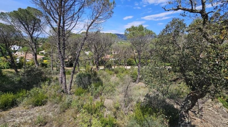 Gerona - Santa Cristina d'Aro - 3500m2