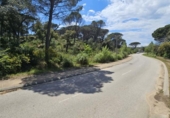 Non-developable land for sale on España, Santa Cristina d'Aro, ref: TR314688 photo