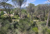 Non-developable land for sale on España, Santa Cristina d'Aro, ref: TR314688 photo