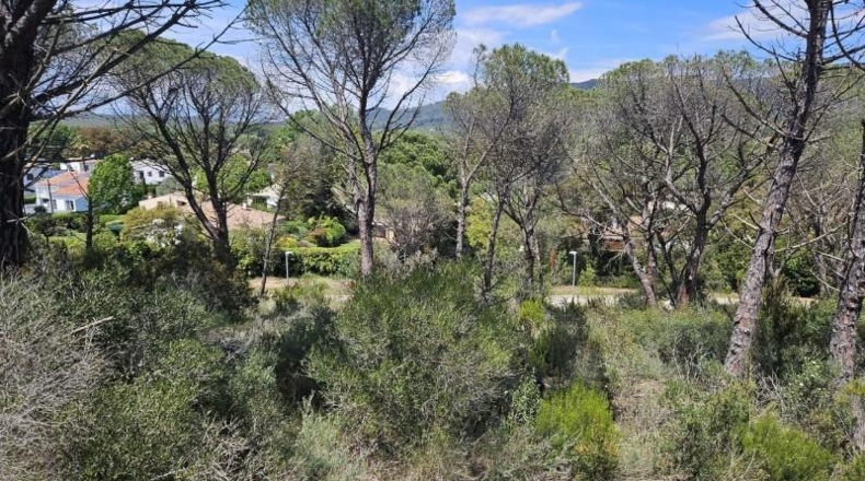 Gerona - Santa Cristina d'Aro - 3500m2