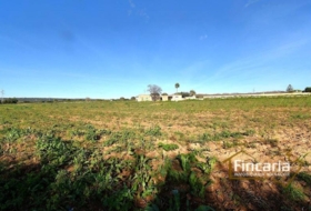 Manacor 28380&nbsp;m²