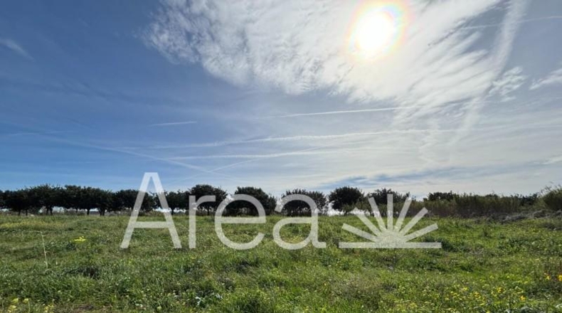 Barcelona - Sant Andreu de Llavaneres - 696m2