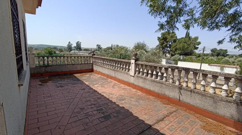 Córdoba - Córdoba - 1882m2