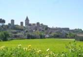 Village house for sale on España, Sencelles, ref: TR360354 photo