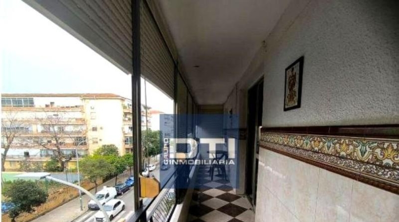 Albacete - Albacete - 298m2