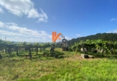 Terreny no urbanitzable en venda a la España, Chaves, ref.: TR355829 foto