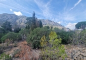 Sòl urbà en venda a la España, Dénia, ref.: TR171664 foto