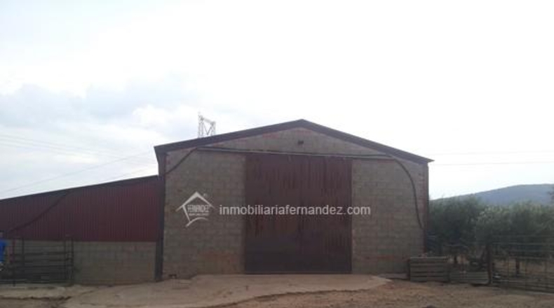 Cáceres - Montánchez - 20000m2