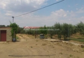 Casa de camp amb terreny en venda a la España, Zarza de Montánchez, ref.: TR135912 foto