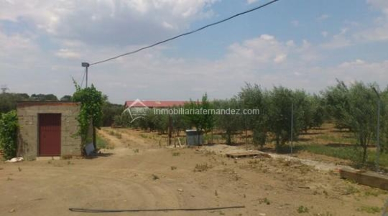 Cáceres - Montánchez - 20000m2