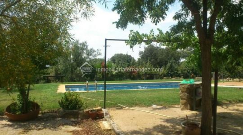 Cáceres - Montánchez - 20000m2