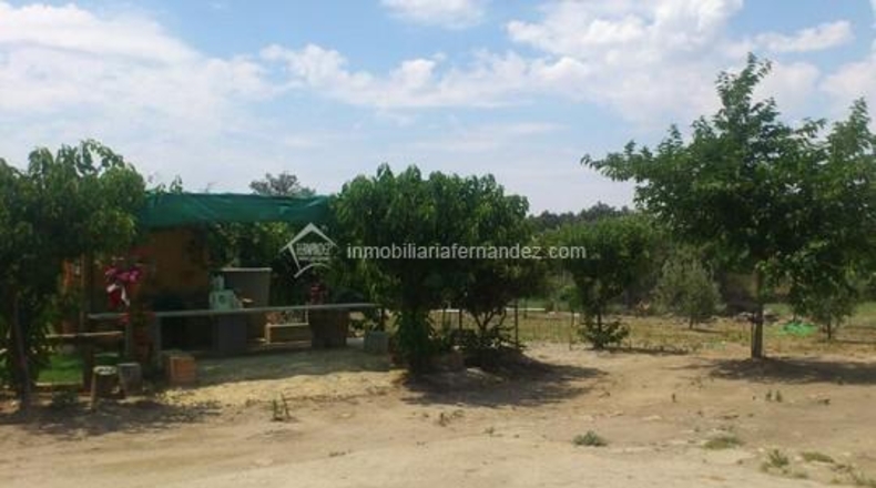 Cáceres - Montánchez - 20000m2
