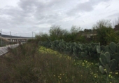Non-developable land for sale on España, Murcia, ref: TR119640 photo