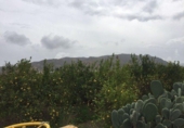 Non-developable land for sale on España, Murcia, ref: TR119640 photo