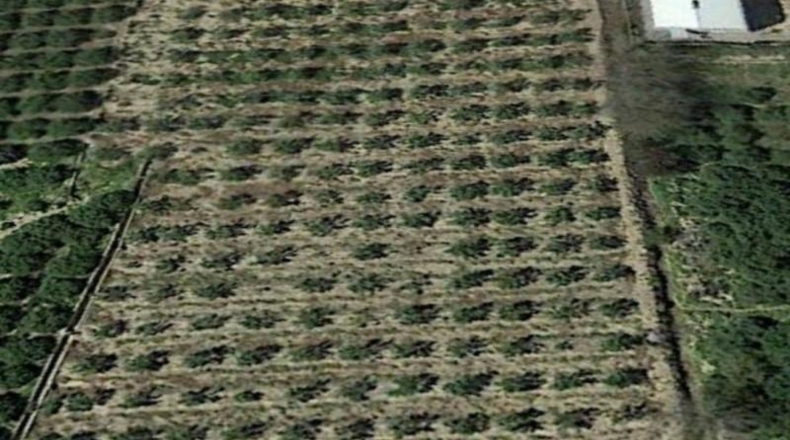 Múrcia - Murcia - 10000m2