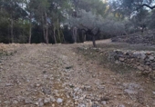 Casa de camp amb terreny en venda a la España, l'Ametlla de Mar, ref.: TR355833 foto