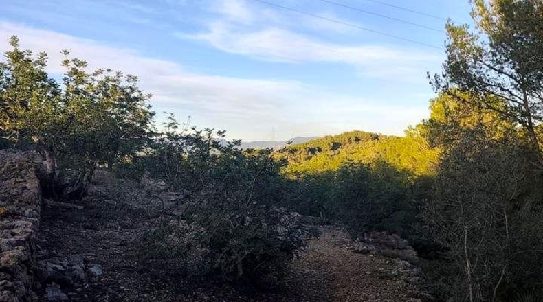 Tarragona - l'Ametlla de Mar - 7644m2