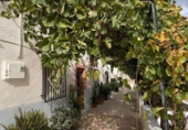 Finca rústica en venda a la España, Lorca, ref.: TR357904 foto
