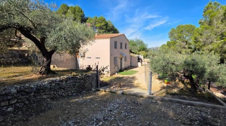 Tarragona - эль Перельо - 8645m2