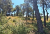 Sòl urbà en venda a la España, el Bruc, ref.: TR265660 foto